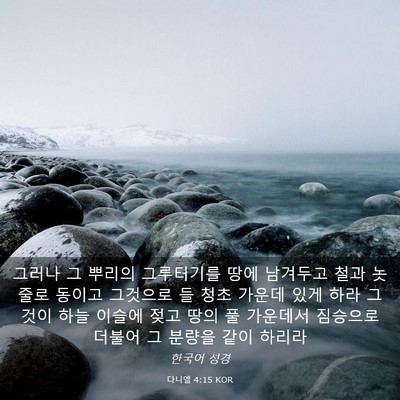 Picture 03 - 다니엘 4:15 KOR - 그러나 그 뿌리의 그루터기를 땅에 - Bible Verse Picture