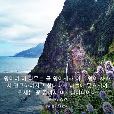 Picture 03 - 다니엘 4:22 KOR - 왕이여 이 나무는 곧 왕이시라 이는 - Bible Verse Picture