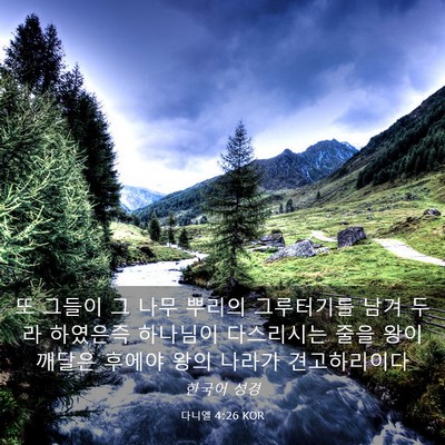 Picture 03 - 다니엘 4:26 KOR - 또 그들이 그 나무 뿌리의 - Bible Verse Picture