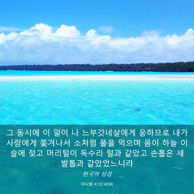 Picture 03 - 다니엘 4:33 KOR - 그 동시에 이 일이 나 - Bible Verse Picture
