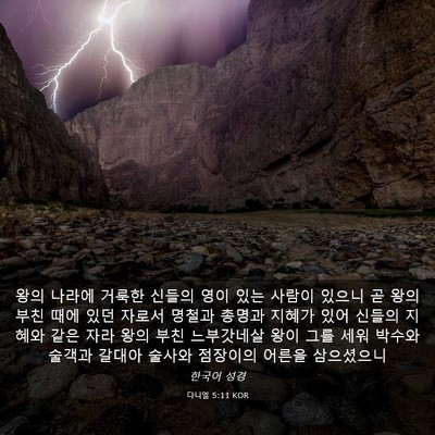 Picture 03 - 다니엘 5:11 KOR - 왕의 나라에 거룩한 신들의 영이 - Bible Verse Picture