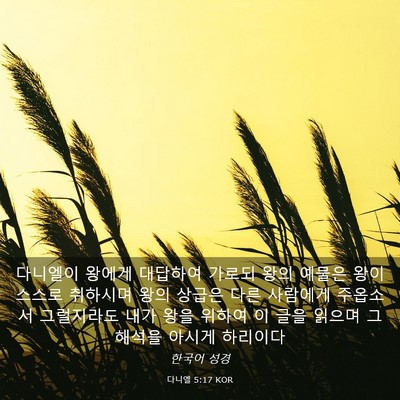 Picture 03 - 다니엘 5:17 KOR - 다니엘이 왕에게 대답하여 가로되 - Bible Verse Picture