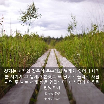 Picture 03 - 다니엘 7:4 KOR - 첫째는 사자와 같은데 독수리의 - Bible Verse Picture