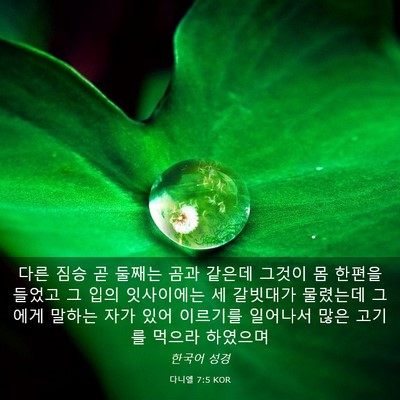 Picture 03 - 다니엘 7:5 KOR - 다른 짐승 곧 둘째는 곰과 같은데 - Bible Verse Picture