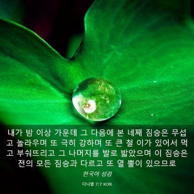 Picture 03 - 다니엘 7:7 KOR - 내가 밤 이상 가운데 그 다음에 본 - Bible Verse Picture