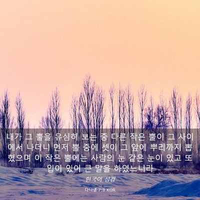 Picture 03 - 다니엘 7:8 KOR - 내가 그 뿔을 유심히 보는 중 다른 - Bible Verse Picture