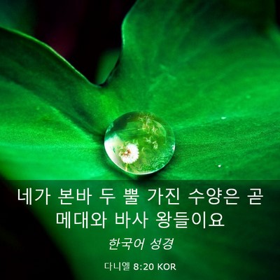 Picture 03 - 다니엘 8:20 KOR - 네가 본바 두 뿔 가진 수양은 곧 - Bible Verse Picture