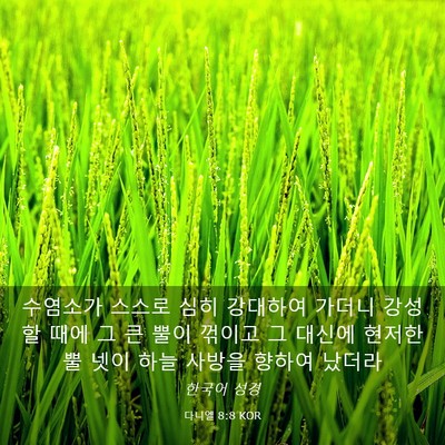 Picture 03 - 다니엘 8:8 KOR - 수염소가 스스로 심히 강대하여 - Bible Verse Picture