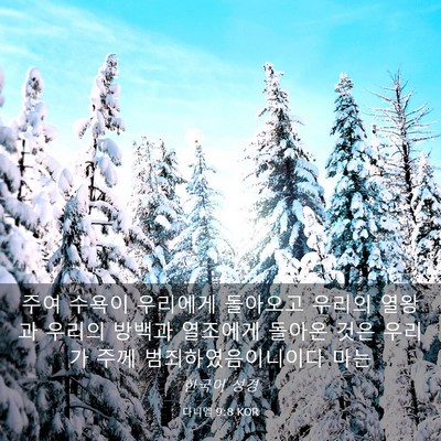 Picture 03 - 다니엘 9:8 KOR - 주여 수욕이 우리에게 돌아오고 - Bible Verse Picture
