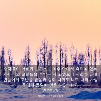 Picture 03 - 데살로니가전서 2:14 KOR - 형제들아 너희가 그리스도 예수 - Bible Verse Picture
