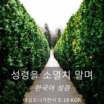 Picture 03 - 데살로니가전서 5:19 KOR - 성령을 소멸치 - Bible Verse Picture