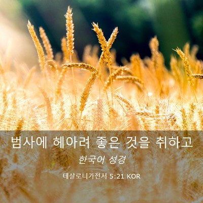 Picture 03 - 데살로니가전서 5:21 KOR - 범사에 헤아려 좋은 것을 - Bible Verse Picture