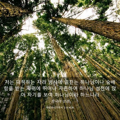 Picture 03 - 데살로니가후서 2:4 KOR - 저는 대적하는 자라 범사에 일컫는 - Bible Verse Picture