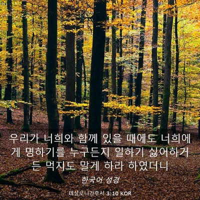 Picture 03 - 데살로니가후서 3:10 KOR - 우리가 너희와 함께 있을 때에도 - Bible Verse Picture