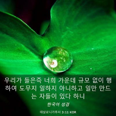 Picture 03 - 데살로니가후서 3:11 KOR - 우리가 들은즉 너희 가운데 규모 - Bible Verse Picture