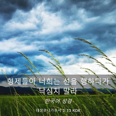 Picture 03 - 데살로니가후서 3:13 KOR - 형제들아 너희는 선을 행하다가 - Bible Verse Picture