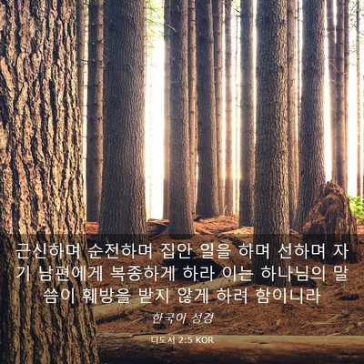 Picture 03 - 디도서 2:5 KOR - 근신하며 순전하며 집안 일을 하며 - Bible Verse Picture