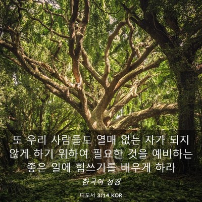 Picture 03 - 디도서 3:14 KOR - 또 우리 사람들도 열매 없는 자가 - Bible Verse Picture