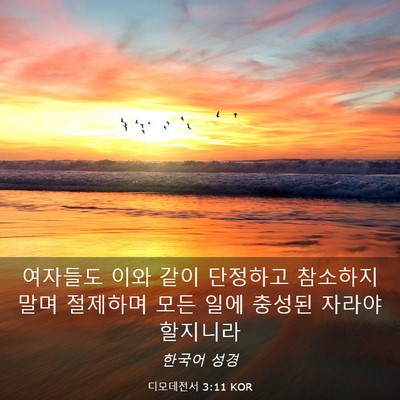 Picture 03 - 디모데전서 3:11 KOR - 여자들도 이와 같이 단정하고 - Bible Verse Picture