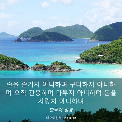 Picture 03 - 디모데전서 3:3 KOR - 술을 즐기지 아니하며 구타하지 - Bible Verse Picture