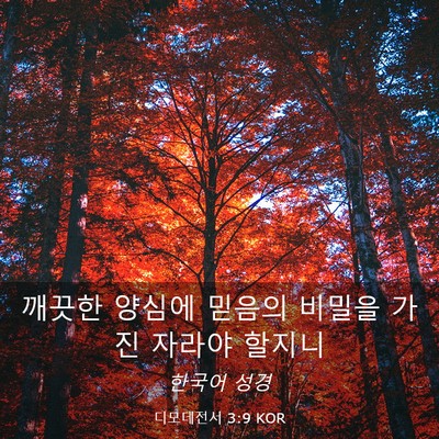 Picture 03 - 디모데전서 3:9 KOR - 깨끗한 양심에 믿음의 비밀을 가진 - Bible Verse Picture