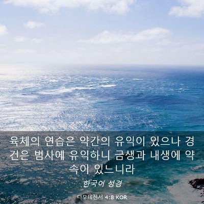 Picture 03 - 디모데전서 4:8 KOR - 육체의 연습은 약간의 유익이 있으나 - Bible Verse Picture