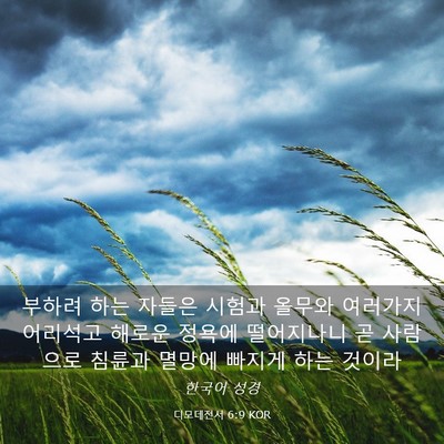 Picture 03 - 디모데전서 6:9 KOR - 부하려 하는 자들은 시험과 올무와 - Bible Verse Picture