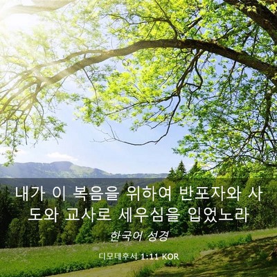 Picture 03 - 디모데후서 1:11 KOR - 내가 이 복음을 위하여 반포자와 - Bible Verse Picture