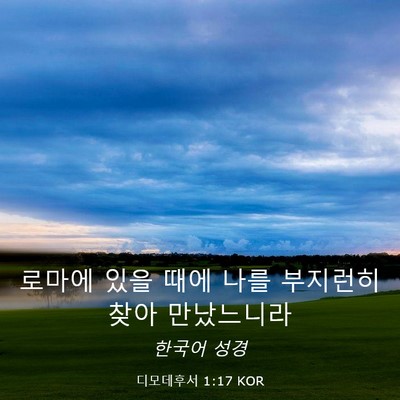 Picture 03 - 디모데후서 1:17 KOR - 로마에 있을 때에 나를 부지런히 - Bible Verse Picture