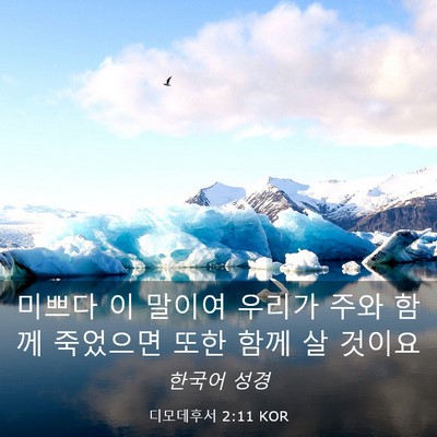 Picture 03 - 디모데후서 2:11 KOR - 미쁘다 이 말이여 우리가 주와 함께 - Bible Verse Picture