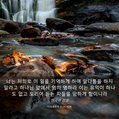 Picture 03 - 디모데후서 2:14 KOR - 너는 저희로 이 일을 기억하게 하여 - Bible Verse Picture