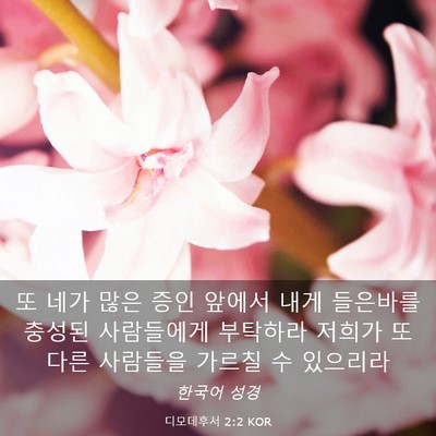 Picture 03 - 디모데후서 2:2 KOR - 또 네가 많은 증인 앞에서 내게 - Bible Verse Picture