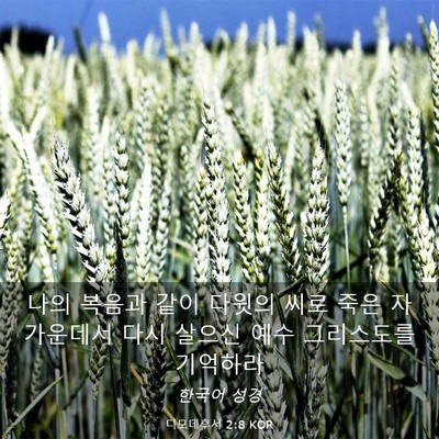 Picture 03 - 디모데후서 2:8 KOR - 나의 복음과 같이 다윗의 씨로 죽은 - Bible Verse Picture