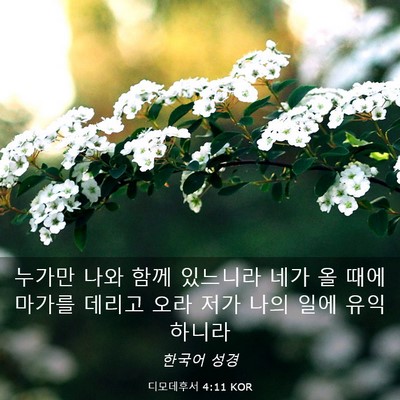 Picture 03 - 디모데후서 4:11 KOR - 누가만 나와 함께 있느니라 네가 올 - Bible Verse Picture