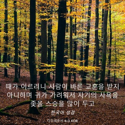 Picture 03 - 디모데후서 4:3 KOR - 때가 이르리니 사람이 바른 교훈을 - Bible Verse Picture