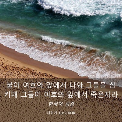 Picture 03 - 레위기 10:2 KOR - 불이 여호와 앞에서 나와 그들을 - Bible Verse Picture