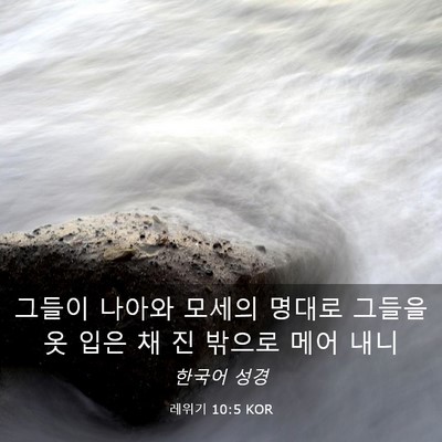Picture 03 - 레위기 10:5 KOR - 그들이 나아와 모세의 명대로 그들을 - Bible Verse Picture
