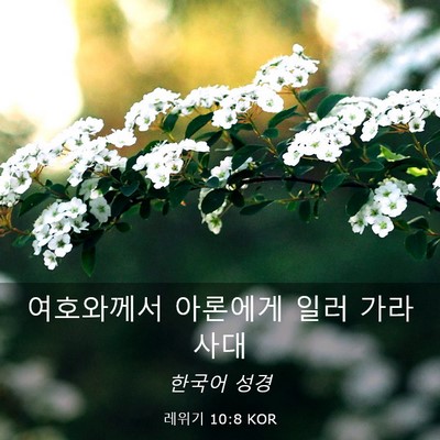 Picture 03 - 레위기 10:8 KOR - 여호와께서 아론에게 일러 - Bible Verse Picture