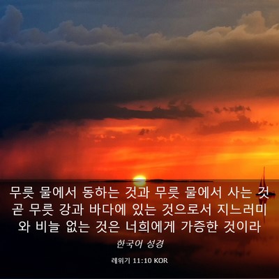 Picture 03 - 레위기 11:10 KOR - 무릇 물에서 동하는 것과 무릇 - Bible Verse Picture