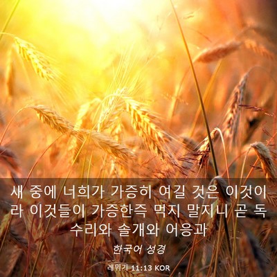 Picture 03 - 레위기 11:13 KOR - 새 중에 너희가 가증히 여길 것은 - Bible Verse Picture