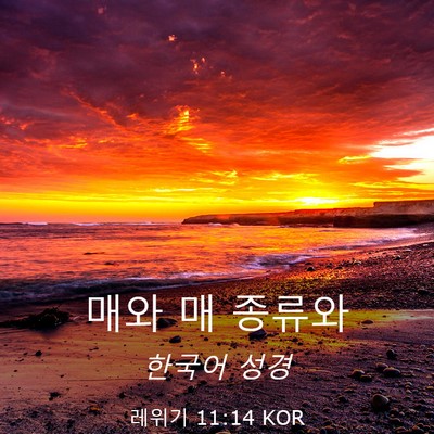 Picture 03 - 레위기 11:14 KOR - 매와 매 - Bible Verse Picture