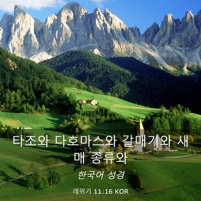 Picture 03 - 레위기 11:16 KOR - 타조와 다호마스와 갈매기와 새매 - Bible Verse Picture