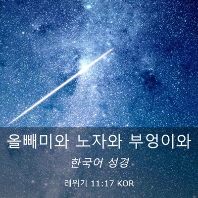 Picture 03 - 레위기 11:17 KOR - 올빼미와 노자와 - Bible Verse Picture