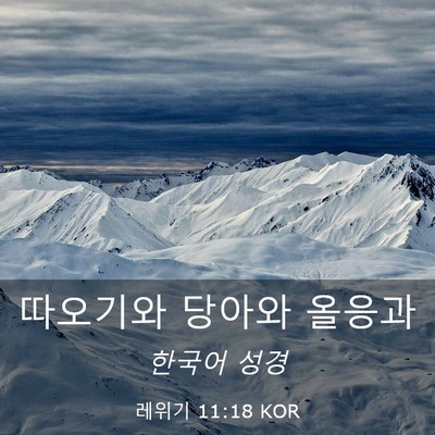 Picture 03 - 레위기 11:18 KOR - 따오기와 당아와 - Bible Verse Picture