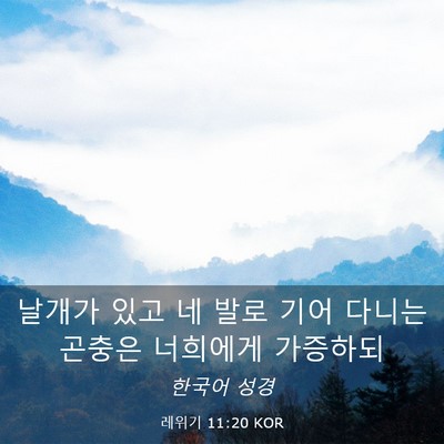 Picture 03 - 레위기 11:20 KOR - 날개가 있고 네 발로 기어 다니는 - Bible Verse Picture