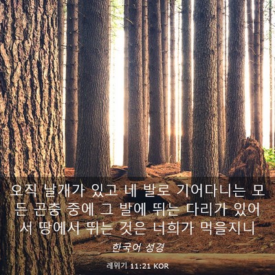 Picture 03 - 레위기 11:21 KOR - 오직 날개가 있고 네 발로 - Bible Verse Picture