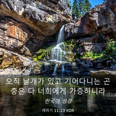 Picture 03 - 레위기 11:23 KOR - 오직 날개가 있고 기어다니는 곤충은 - Bible Verse Picture