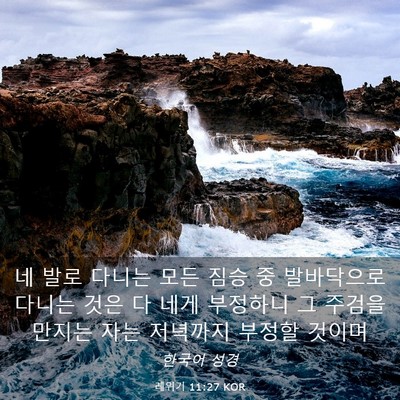 Picture 03 - 레위기 11:27 KOR - 네 발로 다니는 모든 짐승 중 - Bible Verse Picture