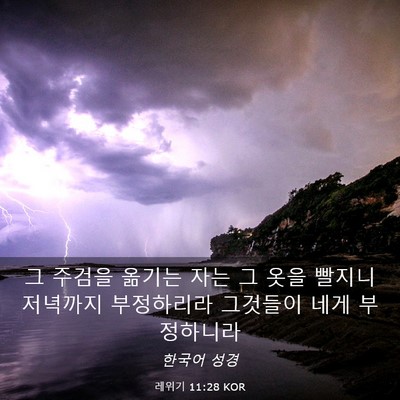 Picture 03 - 레위기 11:28 KOR - 그 주검을 옮기는 자는 그 옷을 - Bible Verse Picture