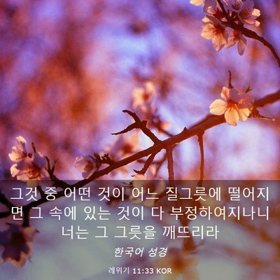 Picture 03 - 레위기 11:33 KOR - 그것 중 어떤 것이 어느 질그릇에 - Bible Verse Picture